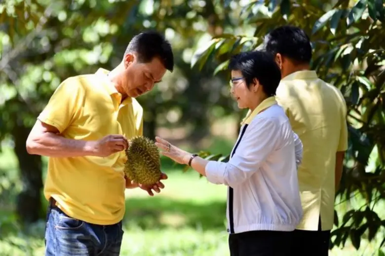 มกอช. ลงพื้นที่เยี่ยมกลุ่มเกษตรกรแปลงใหญ่ทุเรียน ตราด