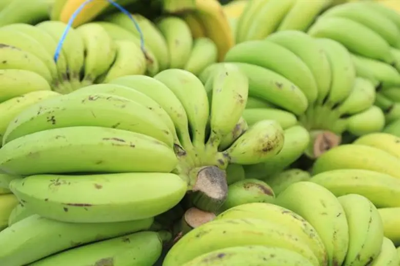 นางอัญชนา ตราโช รองเลขาธิการสำนักงานเศรษฐ...