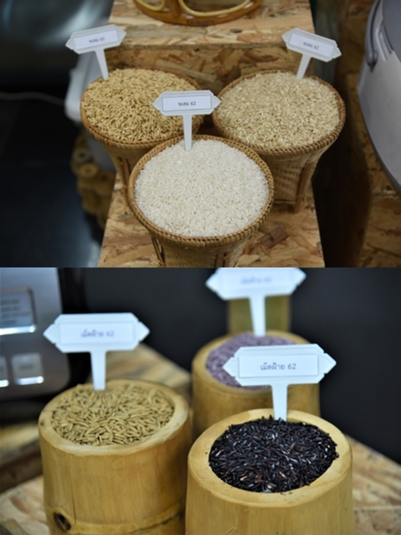 เปิดพันธุ์ข้าวใหม่ 5 พันธุ์ เฉลิมพระเกียรติ ร.10 เนื่องในโอกาสมหามงคลฯ พร้อมจัดแสดงในวันข้าวและชาวนาแห่งชาติ 62