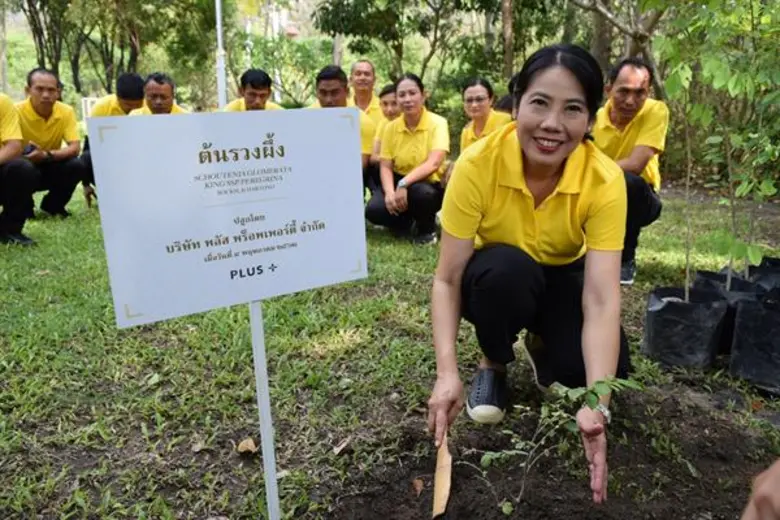 พลัส พร็อพเพอร์ตี้ น้อมถวายความจงรักภักดี ปลูกป่าเฉลิมพระเกียรติ 1,010 ต้น เนื่องในโอกาสมหามงคลพระราชพิธีบรมราชาภิเษก