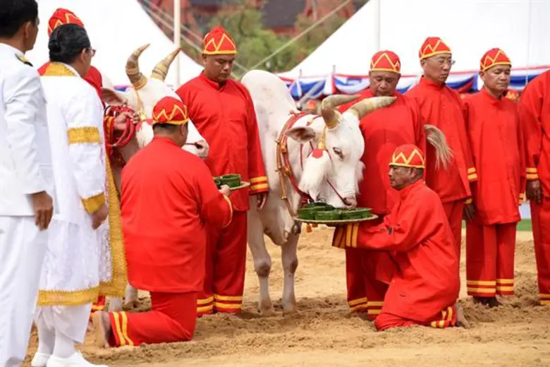 นายอนันต์ สุวรรณรัตน์ ปลัดกระทรวงเกษตรและ...