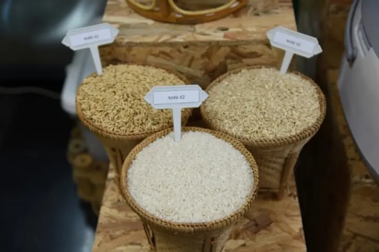 นายประสงค์ ประไพตระกูล อธิบดีกรมการข้าว ก...