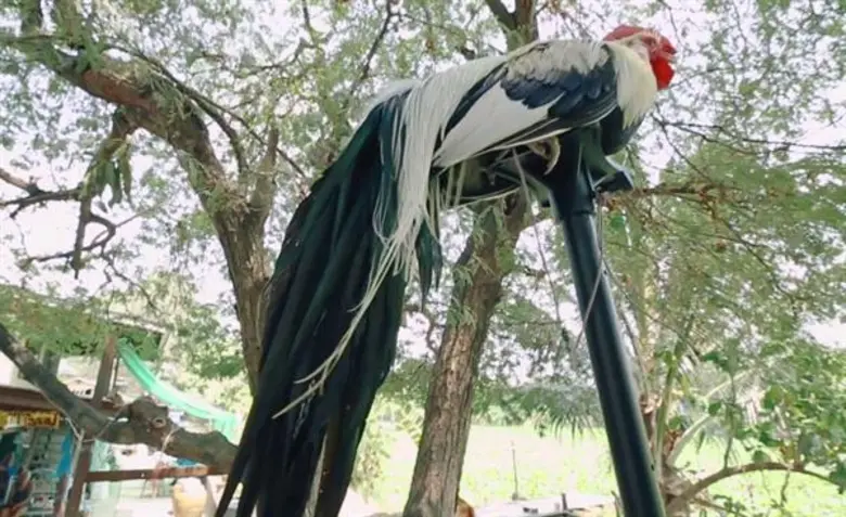 "ไทยทึ่ง" รายการที่จะพาทุกคนไปพบกับเรื่อง...