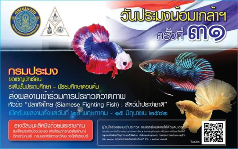 กรมประมง เชิญชวนเยาวชนไทยที่กำลังศึกษาอยู...