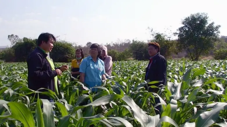 กรมส่งเสริมการเกษตร เผยยอดเกษตรกรล่าสุดเก...