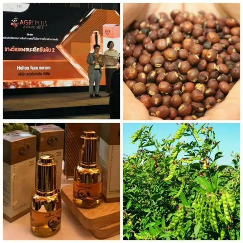 ผลิตภัณฑ์เซรั่มจากสารสกัดถั่วมะแฮะผลงานวิจัยเพิ่มมูลค่าสมุนไพร วว. ได้รับรางวัลรองชนะเลิศอันดับ 2 จากการประกวด AGRI PLUS AWARD 2019