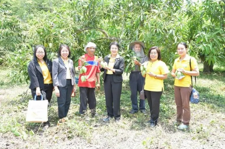มกอช. ตรวจเยี่ยมเกษตรกรแปลงใหญ่ ผู้ปลูกสวนมะม่วง จังหวัดน่าน