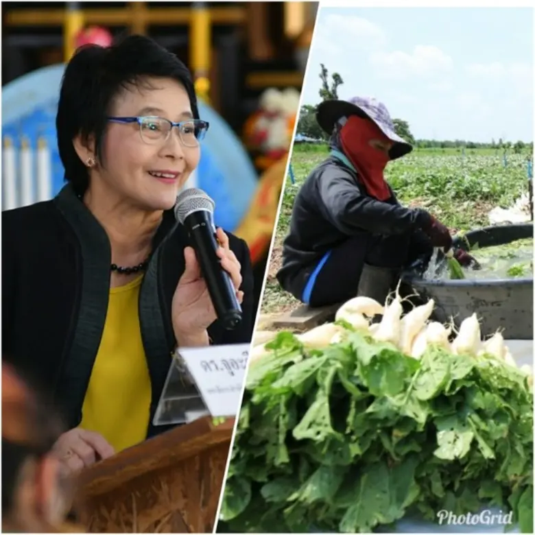 มกอช. เดินหน้าขยายผล "โนนเขวาโมเดล" พัฒนา...