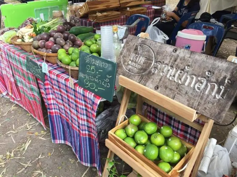 นางสาวทัศนีย์ เมืองแก้ว รองเลขาธิการสำนัก...