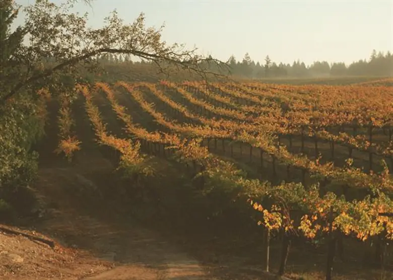 โรงแรม ดิ โอกุระ เพรสทีจ กรุงเทพฯ (The Okura Presti...