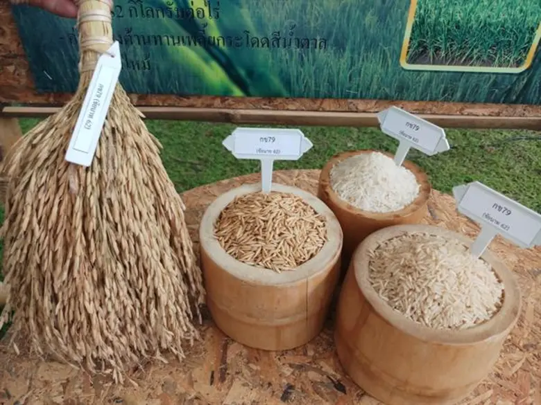 นางสาววรรณพร ดอกจำปา ผู้ตรวจราชการกรม ในฐ...