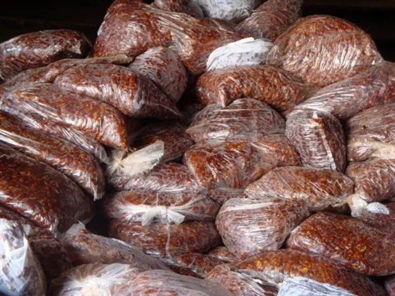 นางสาวทัศนีย์ เมืองแก้ว รองเลขาธิการสำนัก...