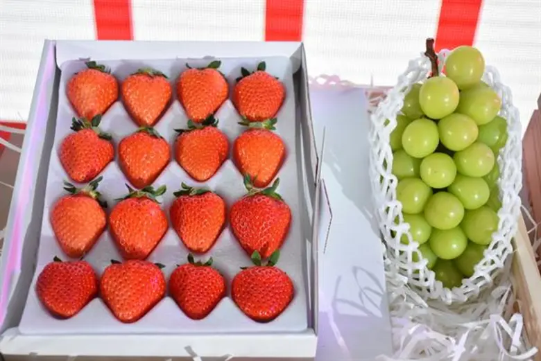 รวมสุดยอดสินค้าญี่ปุ่นเจแปนนิสเลิฟเว่อร์ไม่มาถือว่าพลาด!! กับงาน “โตโยสึ เจแปน เฟสติวัล 2019” เทศกาลสินค้าและอาหารจากประเทศญี่ปุ่นครั้งที่ 4