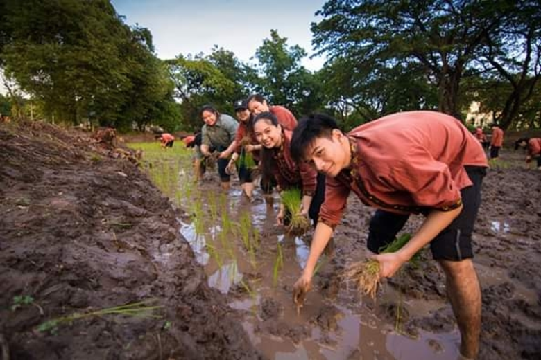 มข.เผย4แนวทางการจัดการศึกษาโฉมใหม่อิสระการเรียนรู้บูรณาการระหว่างคณะ