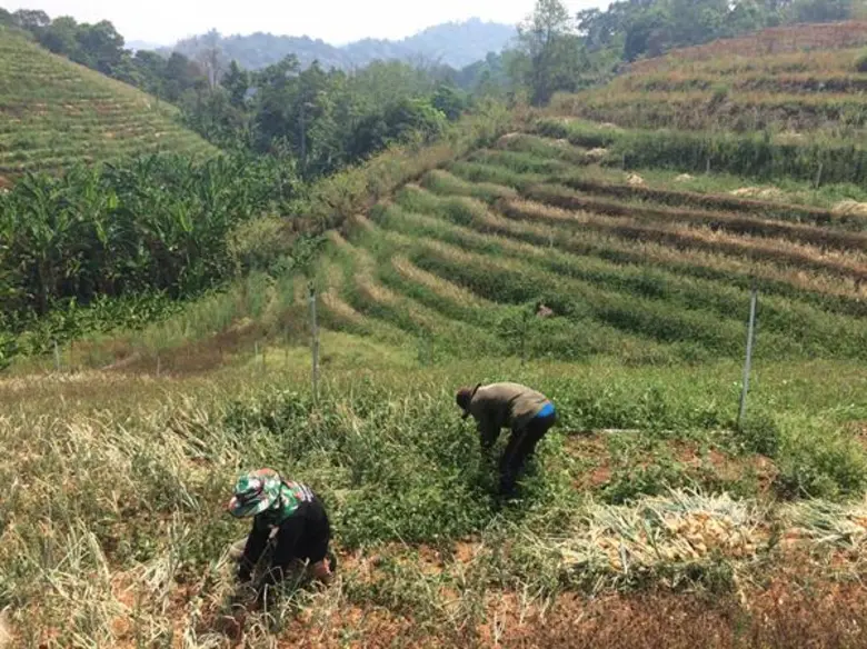 นางอัญชนา ตราโช รองเลขาธิการสำนักงานเศรษฐ...
