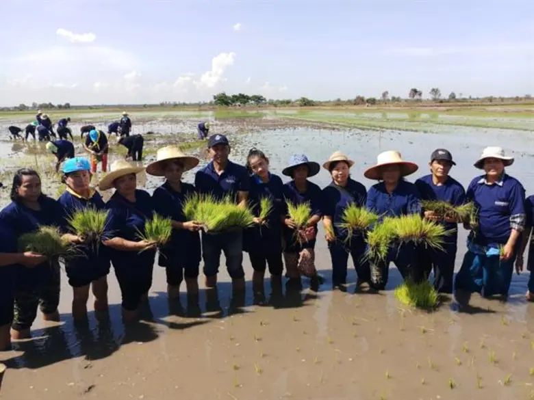 เลขาธิการ ส.ป.ก เปิดงานกิจกรรมสร้างสรรค์ศิลปะบนนาข้าวในผืนดินพระราชทาน เพื่อการคุ้มครองพื้นที่เกษตรกรรม เฉลิมพระเกียรติ เนื่องในโอกาสมหามงคลพระราชพิธีบรมราชาภิเษก