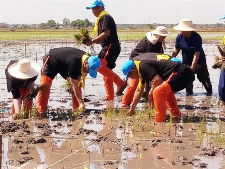 เลขาธิการ ส.ป.ก เปิดงานกิจกรรมสร้างสรรค์ศิลปะบนนาข้าวในผืนดินพระราชทาน เพื่อการคุ้มครองพื้นที่เกษตรกรรมเฉลิมพระเกียรติ เนื่องในโอกาสมหามงคลพระราชพิธีบรมราชาภิเษก