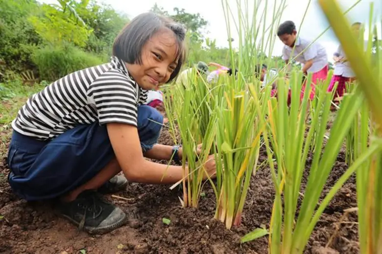 “บางจากฯ” ชวนก๊วนเซเลบฯ หัวใจสีเขียว ร่วมลงแรงปลูกป่า  “Stop Soil Erosion, Save our Future  หยุดการชะล้างพังทลายของดิน คืนชีวิตให้แก่นมะกรูด ด้วยศาสตร์พระราชา”