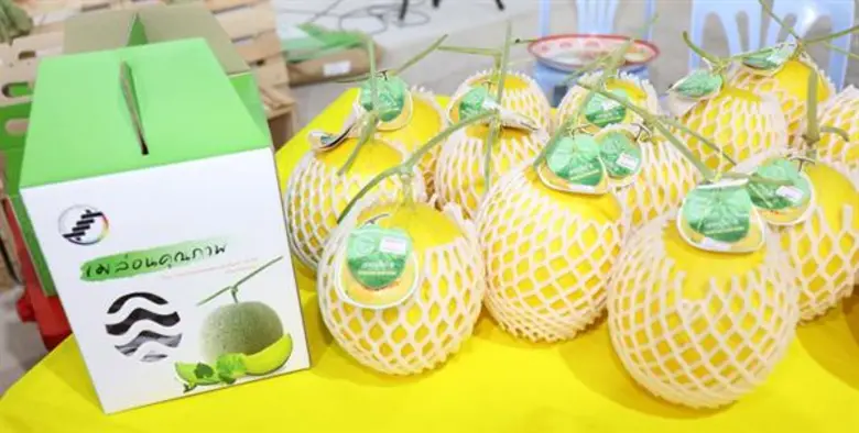 ระยองเป็นอีกหนึ่งจังหวัดของภาคตะวันออกที่...