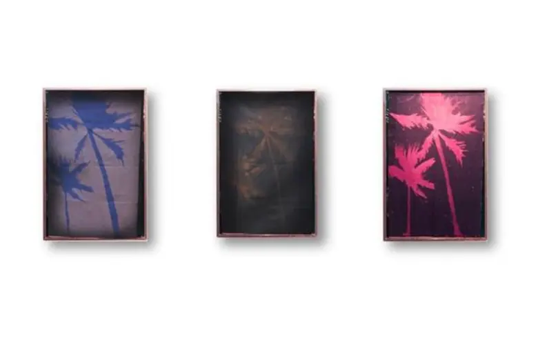 แสงแห่งตะวัน คลายความทุกข์ (Sunny, your smile ease the pain) โดย ฟายรุฬ ดาร์มะ