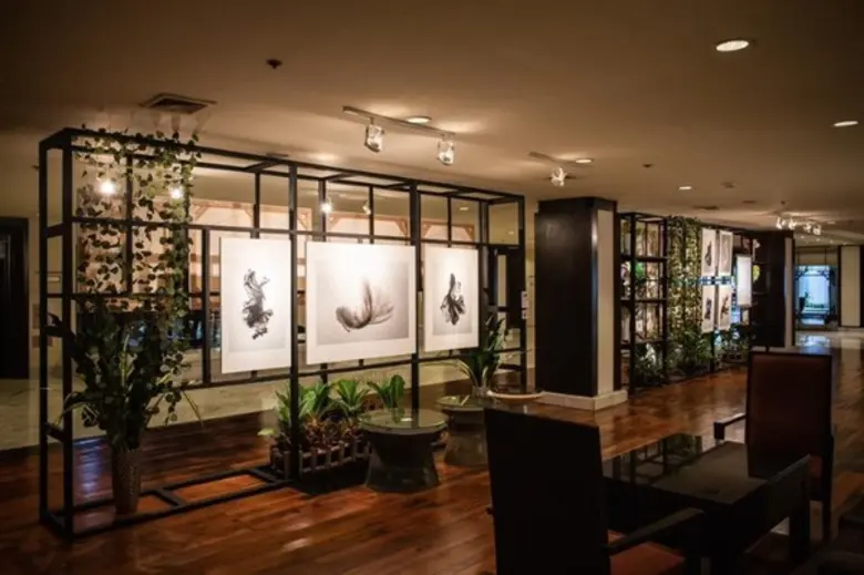 อนันตรา ริเวอร์ไซด์ กรุงเทพฯ จัดแสดงนิทรร...