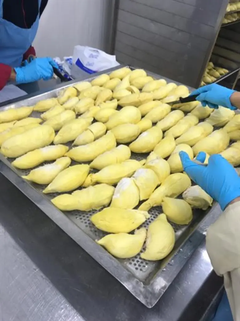 สศก. ศึกษาระบบโซ่ความเย็น วางแนวทางพัฒนาระบบจัดเก็บ คงคุณภาพสินค้าเกษตรสู่ปลายทาง