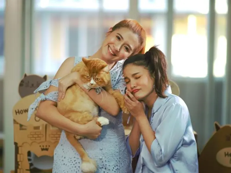 ติดใจการผจญภัยของเจ้าเหมียว จนต้องกลับมาอ...