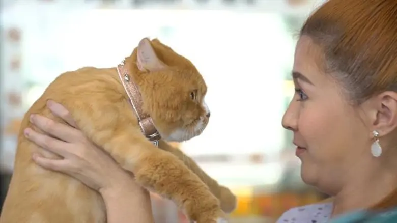 สุขภาพมาก่อน “โฟกัส” โดนติวเข้มการดูแลเจ้าเหมียว  ในรายการ “ชีวิตติดแมว” 23 มิ.ย. นี้