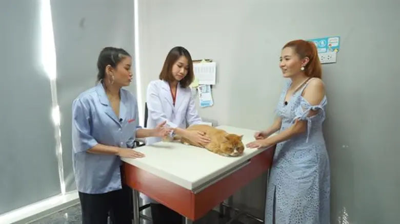 สุขภาพมาก่อน “โฟกัส” โดนติวเข้มการดูแลเจ้าเหมียว  ในรายการ “ชีวิตติดแมว” 23 มิ.ย. นี้