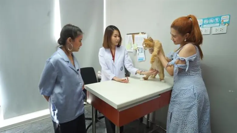 สุขภาพมาก่อน “โฟกัส” โดนติวเข้มการดูแลเจ้าเหมียว  ในรายการ “ชีวิตติดแมว” 23 มิ.ย. นี้