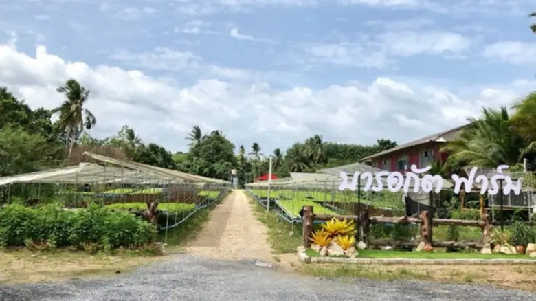 “นักพัฒนาฝีมือแรงงานพันธุ์ใหม่” ให้คำปรึกษาเพิ่มผลิตภาพแรงงาน