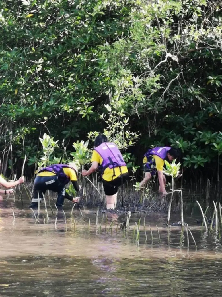 พนักงานกลุ่มบริษัท มิสเตอร์. ดี.ไอ.วาย. ร่วมใจปลูกป่าชายเลน อนุรักษ์สิ่งแวดล้อม	