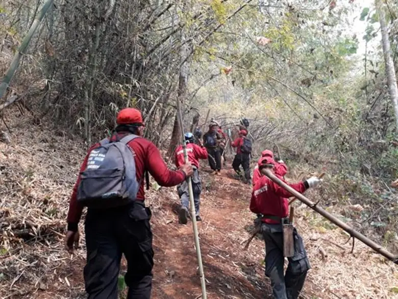เปิดปฏิบัติการ “ฮีโร่หัวใจพิทักษ์ป่า” ผู้ปกป้องพงไพรไทย มูลนิธิเอสซีจี พร้อมภาคีเครือข่าย ชวนร่วมกิจกรรมดีๆ ในโครงการ “HANDS FOR HEROES รวมมือเรา เพื่อคนเฝ้าป่า” ปีที่2