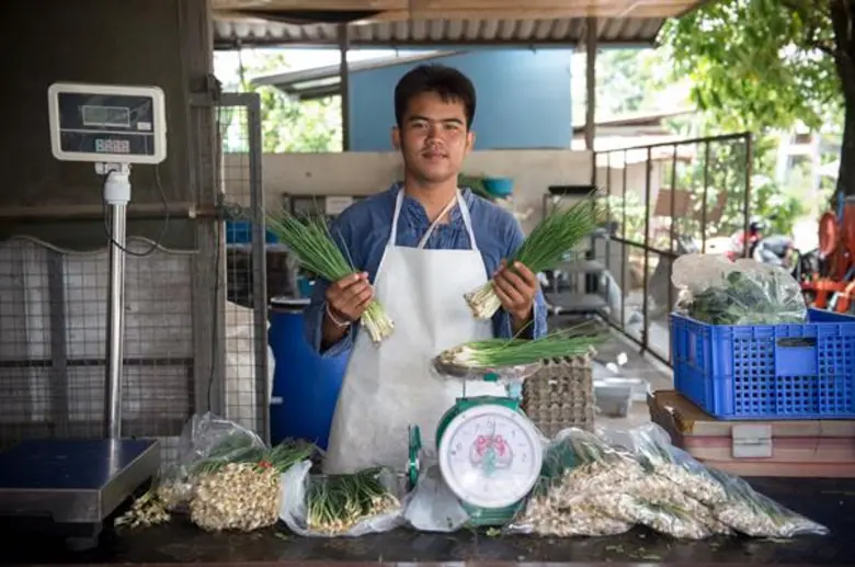 เกษตรกรหนองเลิงเปือย ปลื้มปิดทองฯ แนะช่องทางทำกิน ปลูกผักขายสหกรณ์ เสริมรายได้ครัวเรือน เพิ่มความสุขในครอบครัว