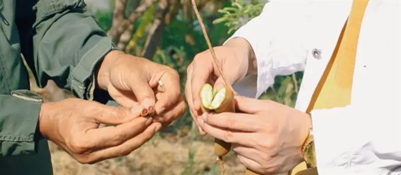 “แชมป์” พาทึ่ง “สวนพันธุ์ไม้แปลก” จ.ลพบุรี