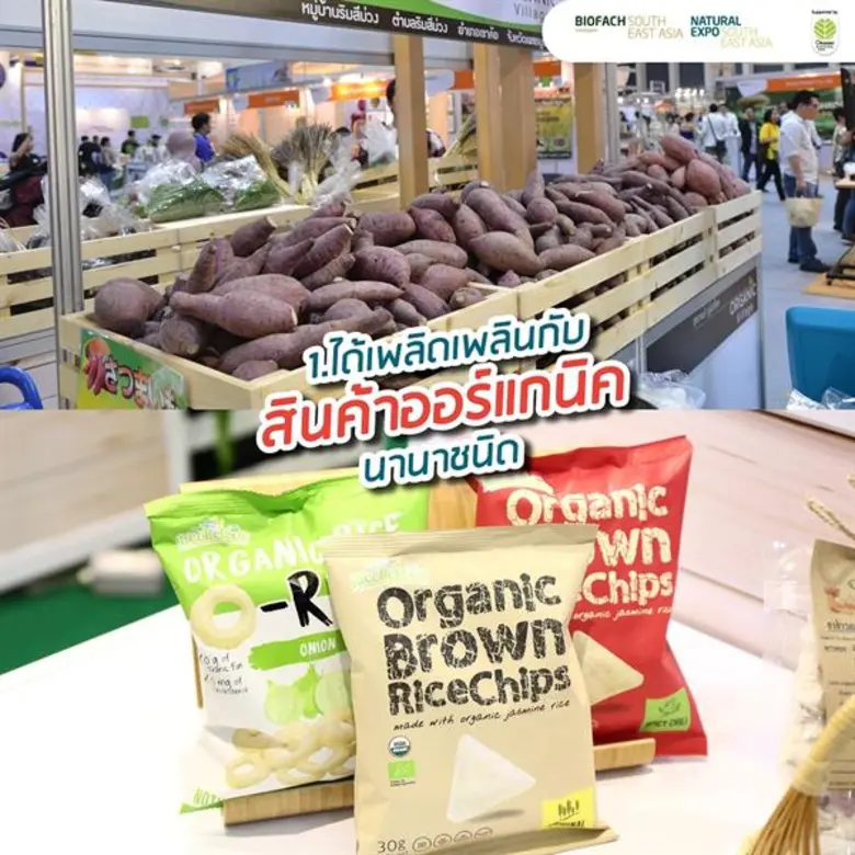 5 เหตุผลที่พลาดไม่ได้กับงานตลาดออร์แกนิคสากล 2019 งานออแกนิคไลฟ์สไตล์สุดเก๋ ที่จะทำให้รู้ว่า เมืองไทยมีแต่สินค้าดีโกอินเตอร์!