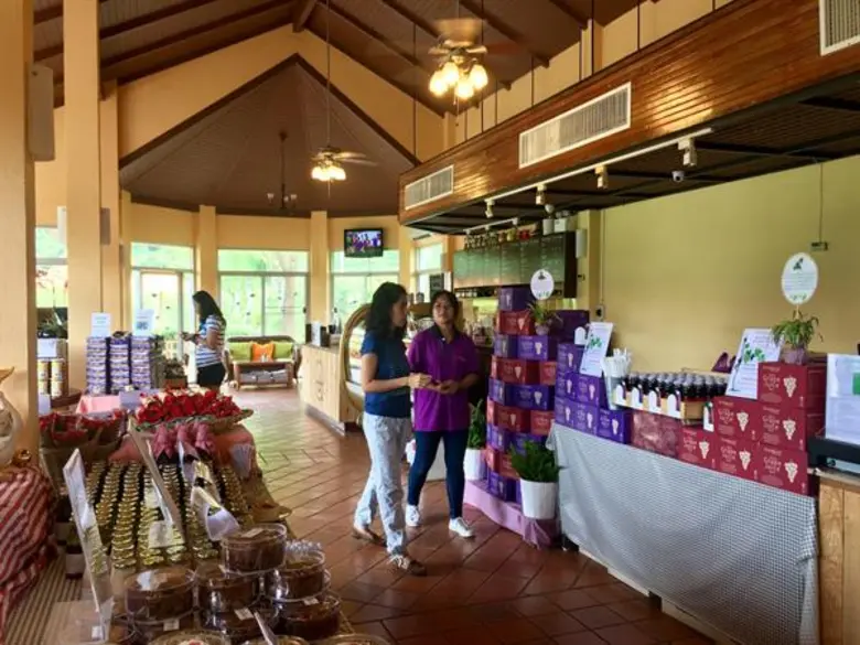 7 เหตุผล ที่ร้อนนี้คนรักธรรมชาติ เลือกไปเช็กอิน “ไร่องุ่น ไวน์กราน-มอนเต้” เขาใหญ่