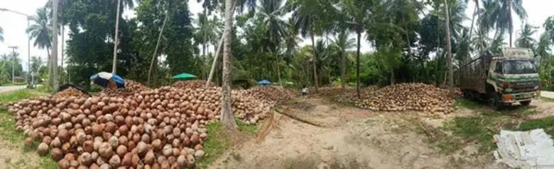 สศก. จัด focus group เกษตรกร-พ่อค้าในพื้นที่ ถกแนวทางพัฒนาเกษตรอินทรีย์