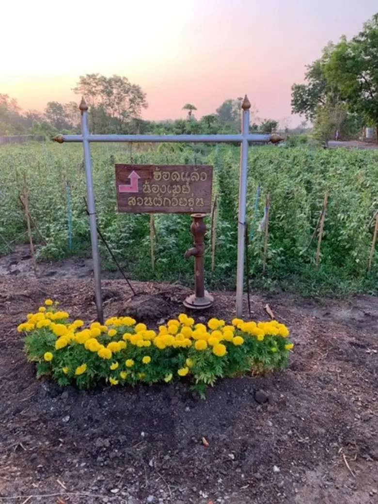 พลอากาศเอก ชลิต พุกผาสุข องคมนตรี ในฐานะป...