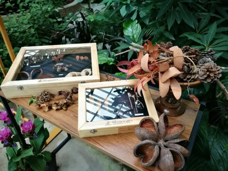 สถานีวิจัยวิทยาศาสตร์และเทคโนโลยีแห่งประเ...