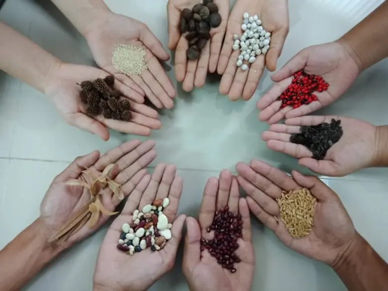 วว. เปิดนิทรรศการเมล็ดพันธุ์แห่งชีวิต @ สถานีวิจัยลำตะคอง จังหวัดนครราชสีมา	