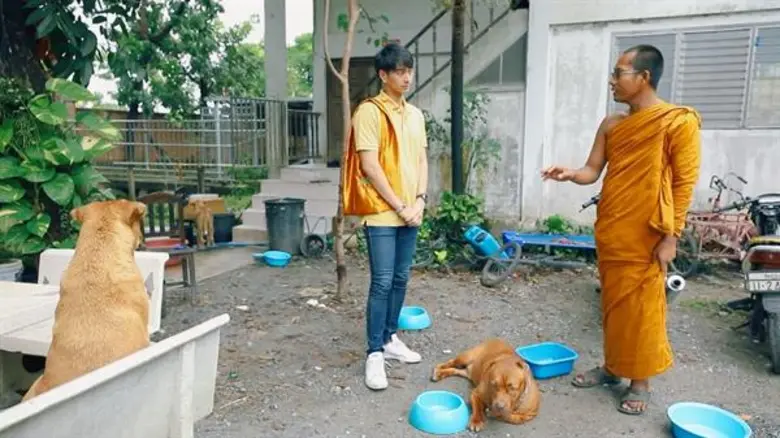 ทีวีไกด์: รายการ "ไทยทึ่ง" “นะ” พาทึ่ง “พิทบูลแสนรู้ศิษย์วัด 4 ขา” จ.นครปฐม