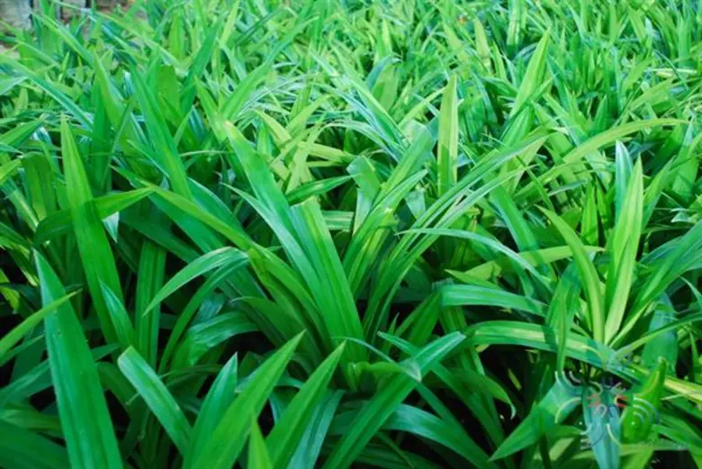 นายฉันทานนท์ วรรณเขจร รองเลขาธิการสำนักงา...