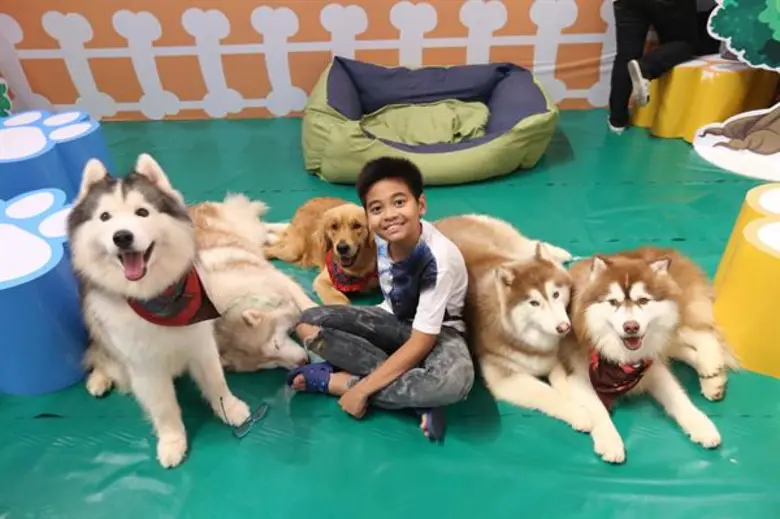 ศูนย์การค้าเกทเวย์ แอท บางซื่อ เอาใจแฟนคลับน้องหมา น้องแมว จัดงาน Pet’s Day Out วันดีที่น้องรอ