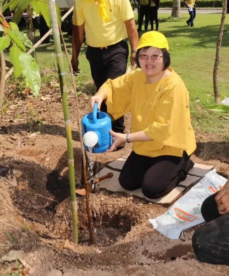 กรมป่าไม้ แจกกล้าไม้ดอกสีเหลืองกว่า 50,00...