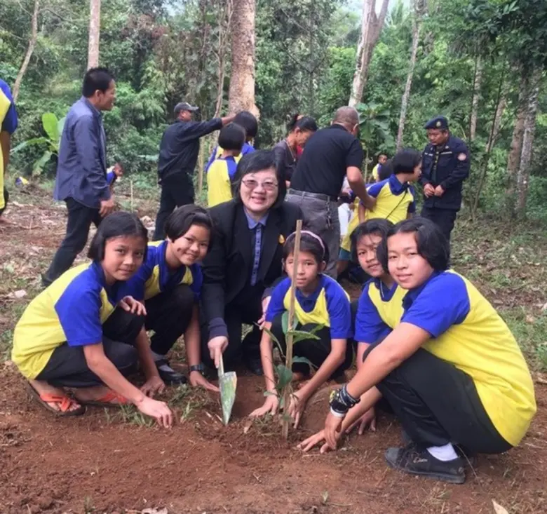 กรมป่าไม้ แจกกล้าไม้ดอกสีเหลืองกว่า 50,000 ต้น ตลอดเดือนกรกฎาคม