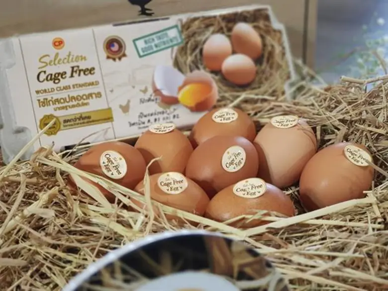 โม โม พาราไดซ์ จับมือ ซีพีเอฟ เสิร์ฟไข่ไก่สดปลอดสาร CP Selection Cage Free Egg
