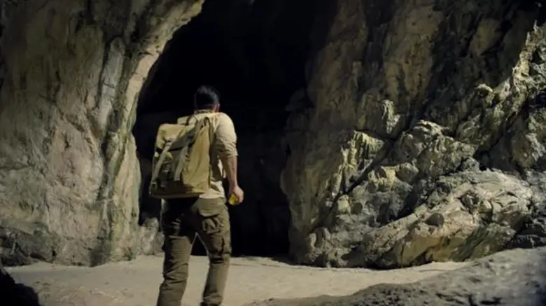 The Origin of Golden Bird’s Nest