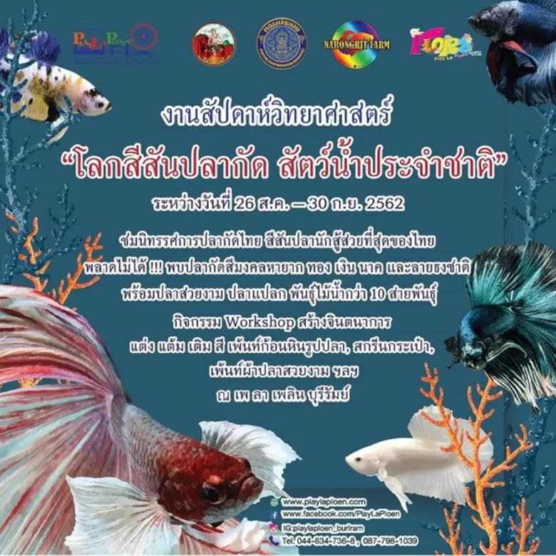 โลกสีสันปลากัด สัตว์น้ำประจำชาติ วันที่ 2...