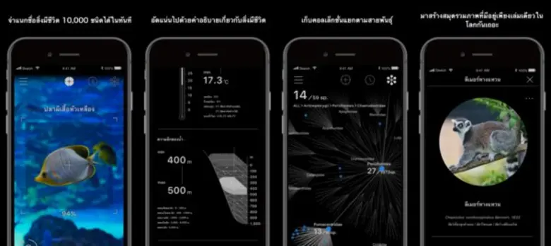 - แอปมือถือ AI/AR ที่เปรียบเสมือน "ดวงตาข...